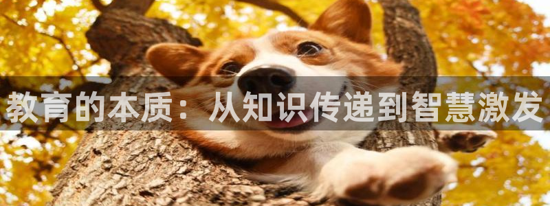 新宝5娱乐登录