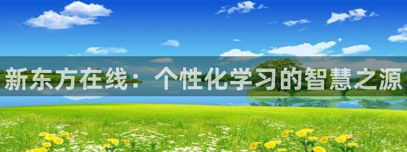 新宝5公司