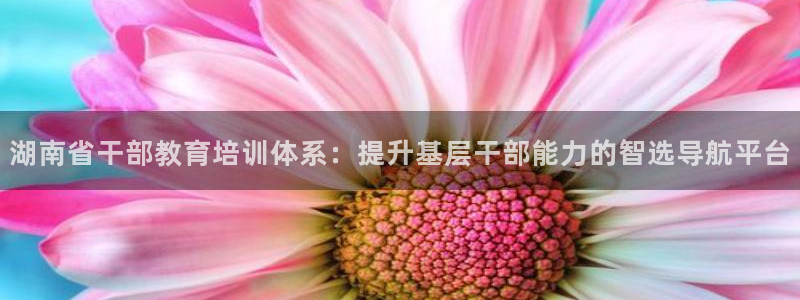 新宝5软件下载