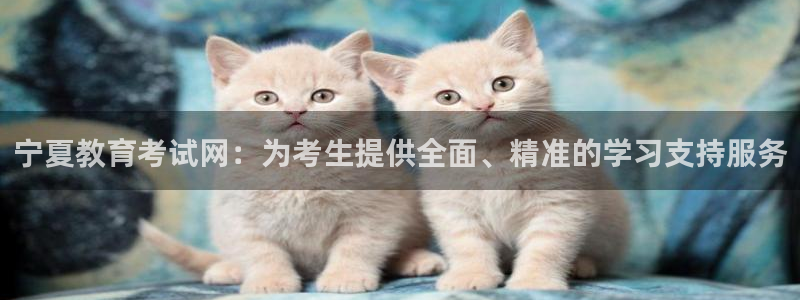 新宝5彩票娱乐平台