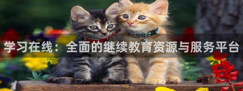新宝娱乐5入口