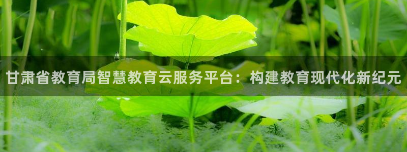 新宝5如何下载