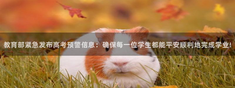 新宝5官网霸