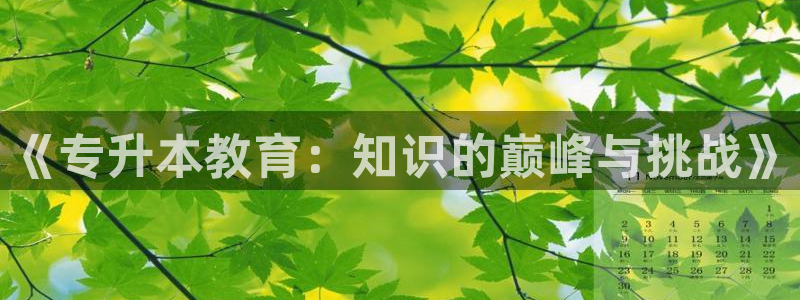 新5宝