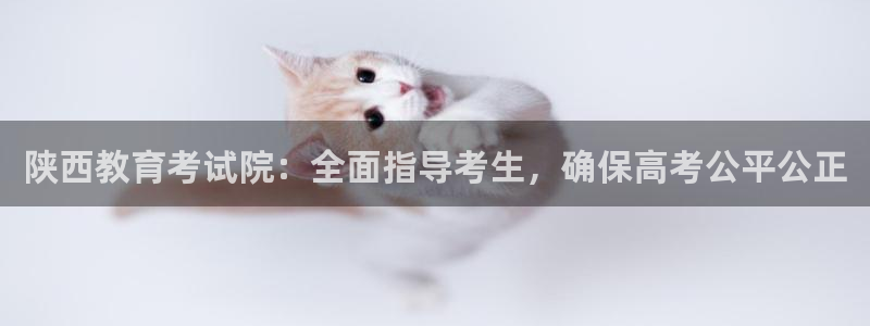 新宝5软件下载