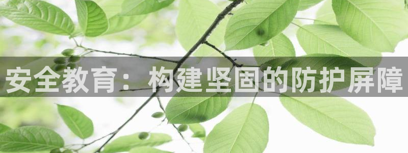 新宝5怎么下载到桌面