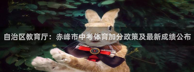 股票5G宝新