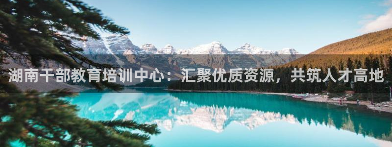新宝5彩票平台登陆
