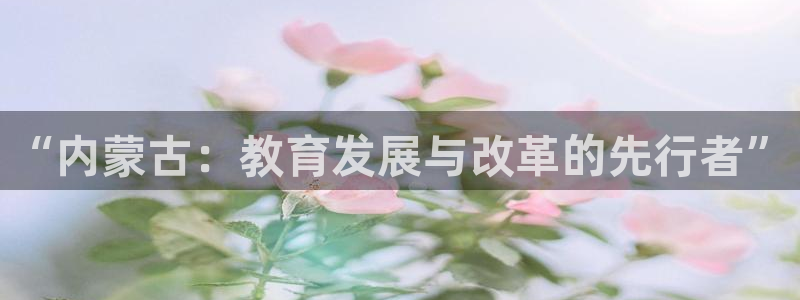 新宝5是什么样子的