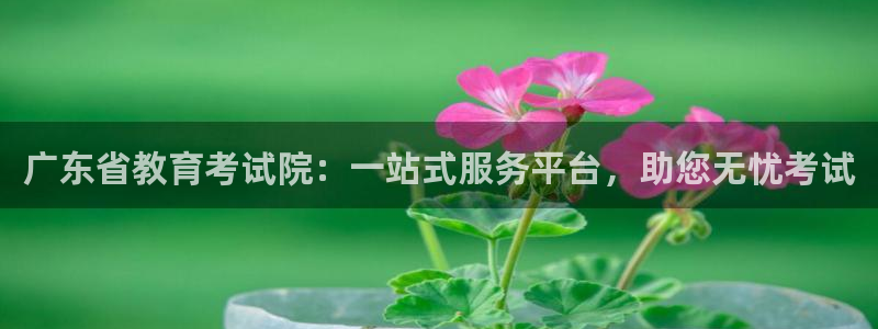 新宝5手机版