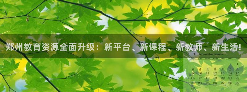 新宝股东王听2 5 5