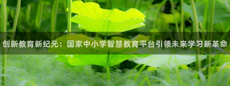 新宝5彩票是正规平台吗