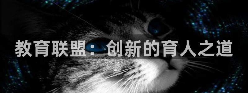 新宝5网址