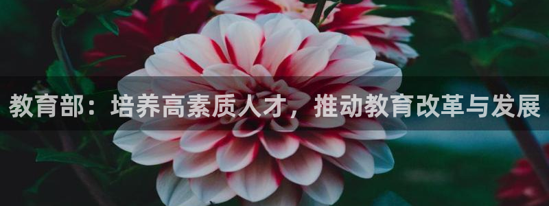 新宝5公司