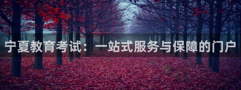 新宝5官方下载地址