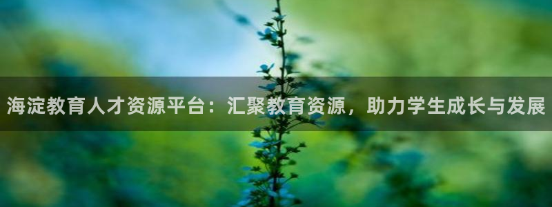 新宝5娱乐主管