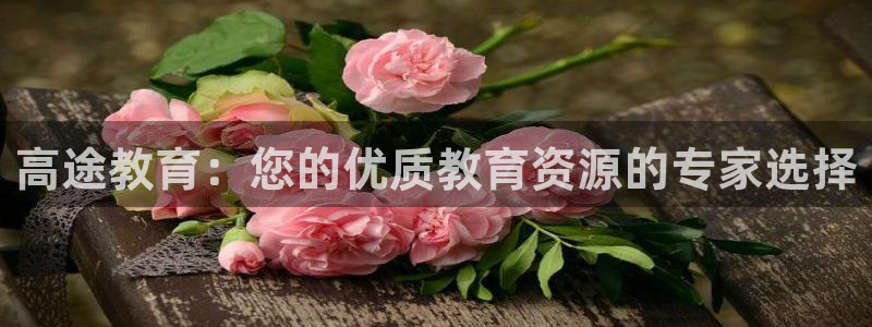 新宝5安卓版