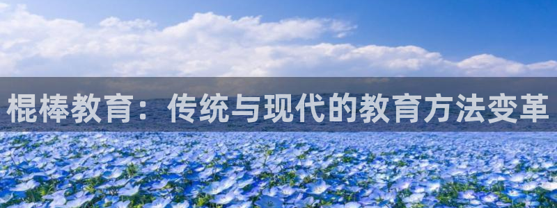 新宝5手机登陆