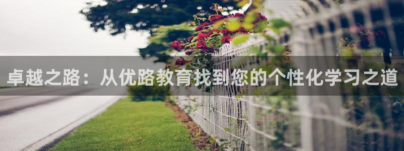 新宝5的网址