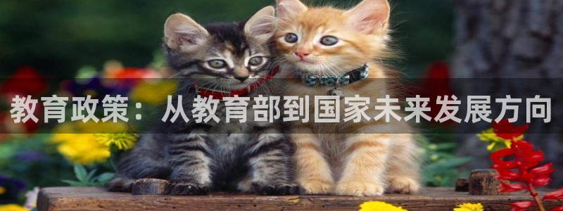 菲律宾新宝5老板