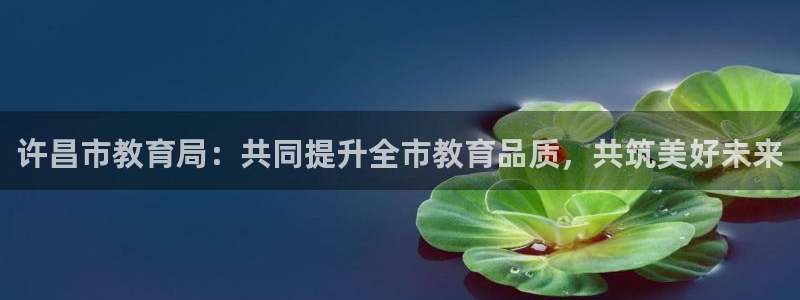 新宝5下载到桌面