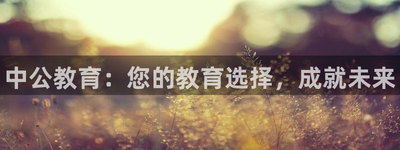 新宝5现在还能玩吗