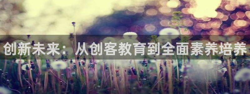 新宝堂新会陈皮5年