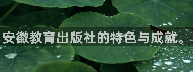 新宝股东张听2 5 5