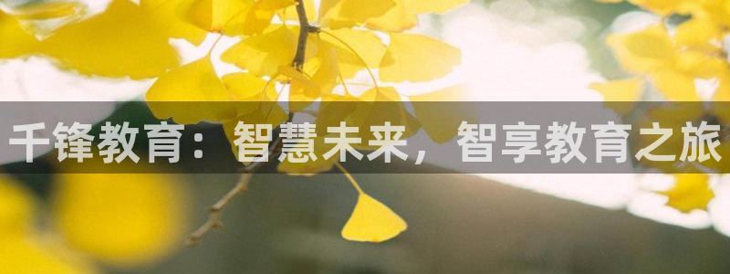 新宝股东王听2 5 5