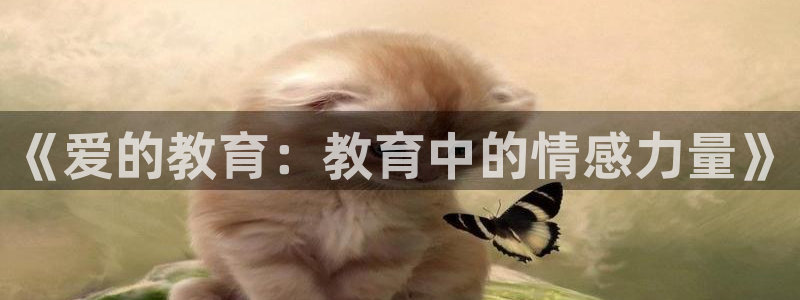 新宝5彩票平台登陆