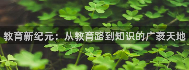 新宝5娱乐学