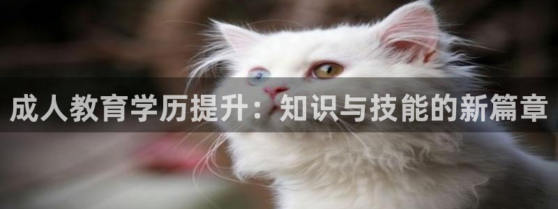 新宝5如何下载