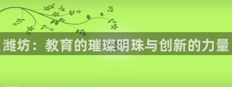 新宝j2O5O5O