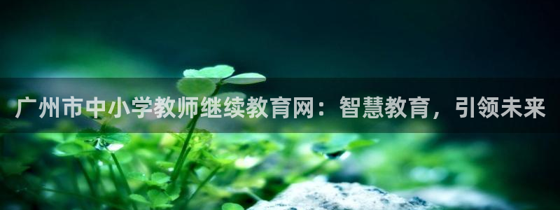 新宝5是谁的