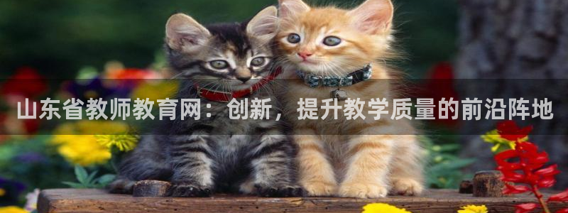 新宝5日