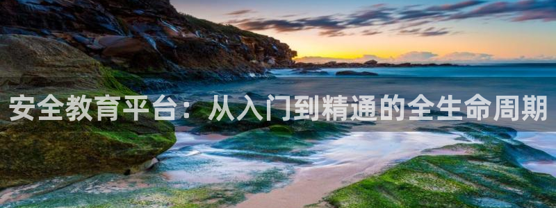 新宝5代理