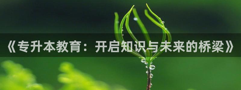 新宝5是谁的