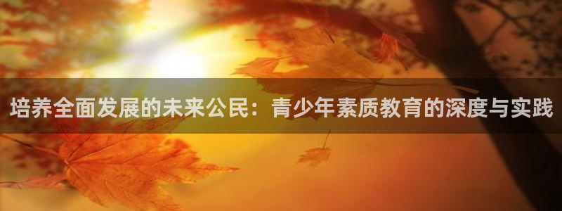 新宝5手机平台登陆