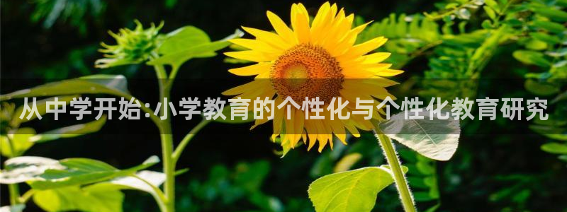 新宝5手机平台登陆