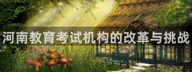 新宝5的网址